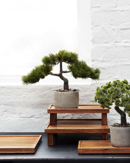 Plantas artificiales decorativas - Trends Home