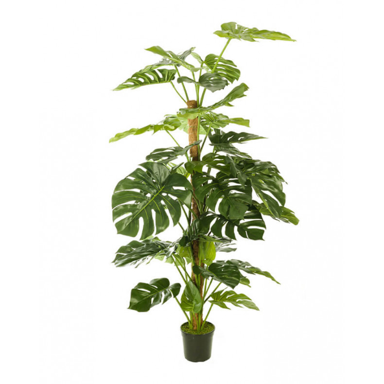 PLANTA ARTIFICIAL MONSTERA 155CM