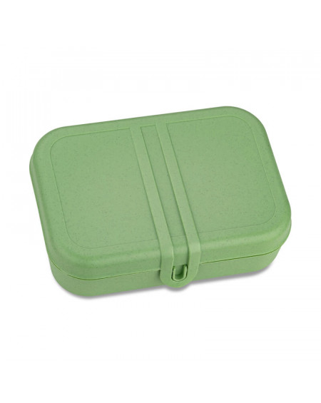 PASCAL S NATURE LEAF GREEN LUNCH BOX Trends Home